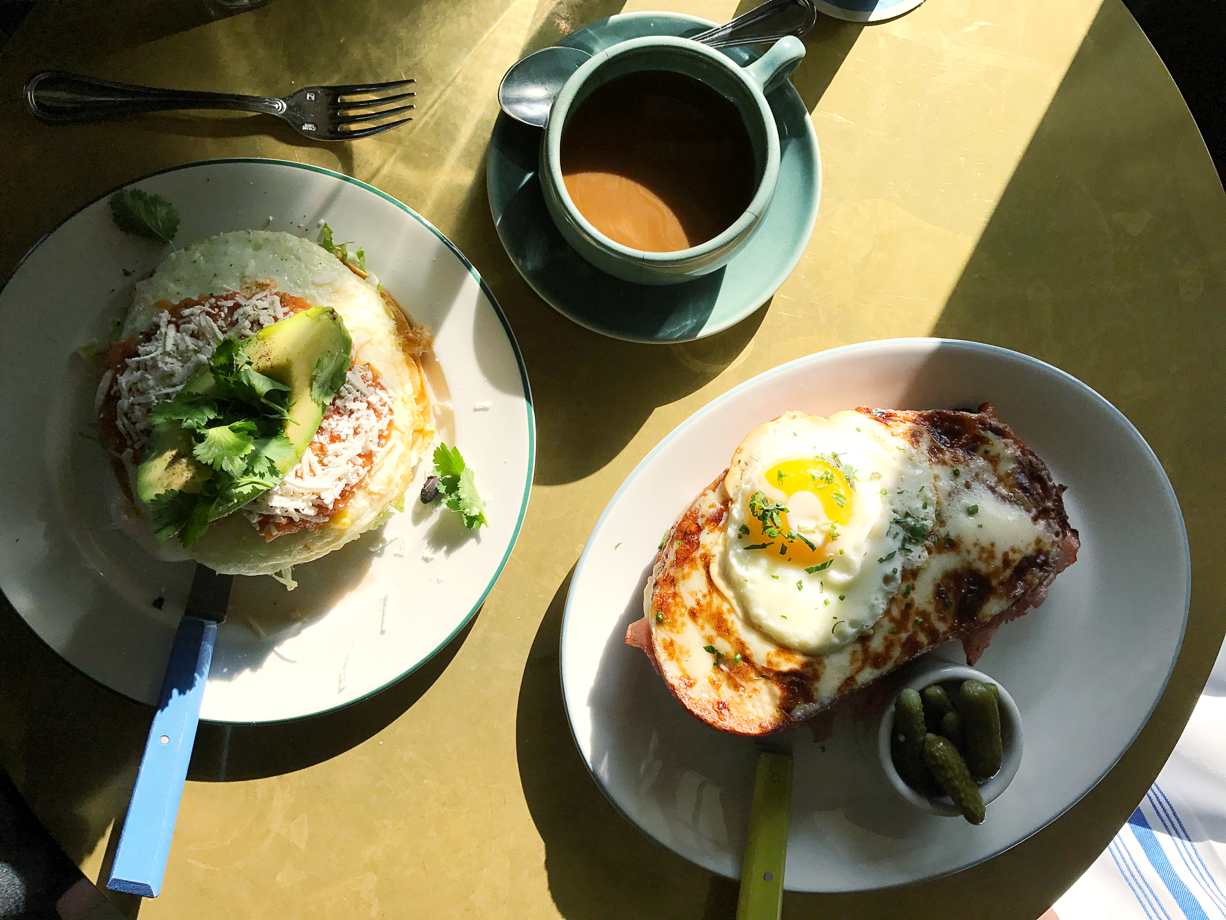 My Favorite Brunch in Austin | The Hungry Chronicles