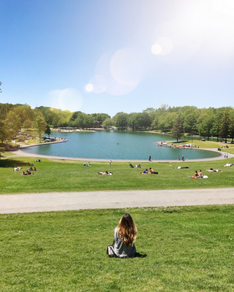 Why Now Is The Time To Go To Montreal | The Hungry Chronicles