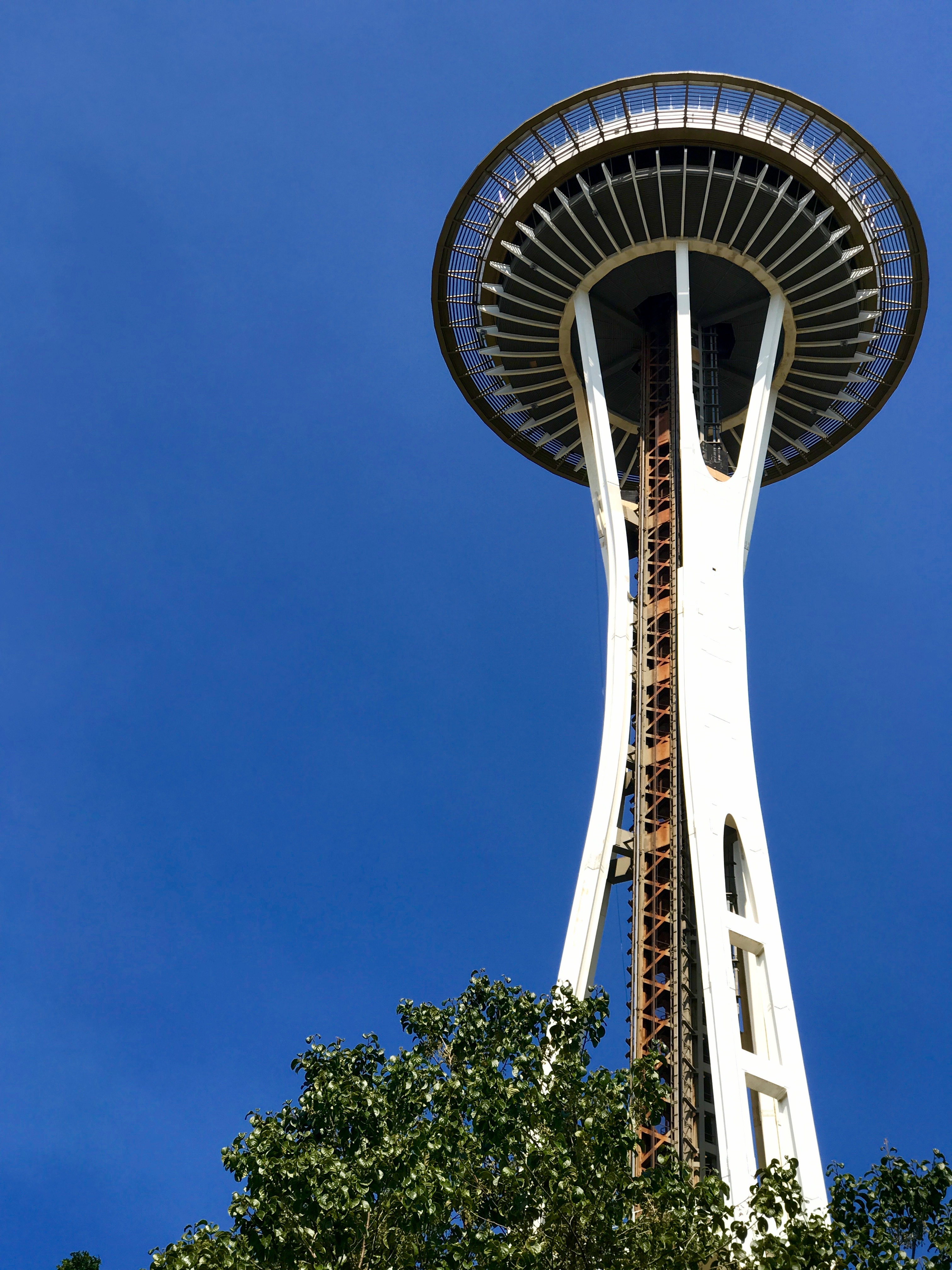 Seattle City Guide | The Hungry Chronicles