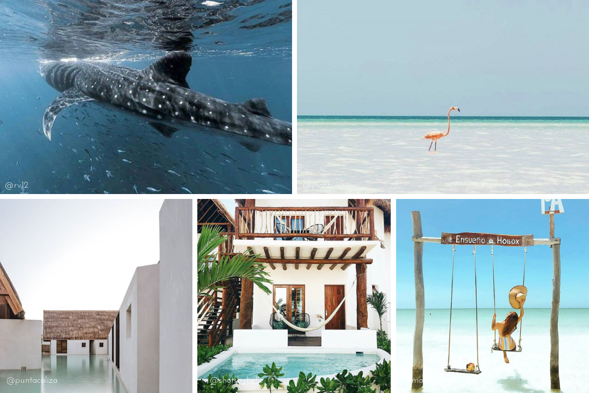 Where to Travel in 2019 | The Hungry Chronicles | Holbox