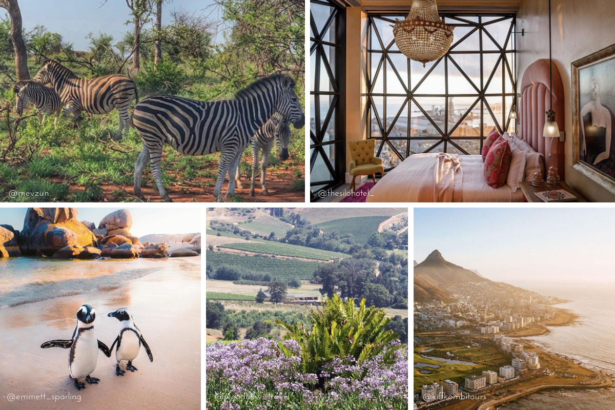 Where to Travel in 2019 | The Hungry Chronicles | South Africa