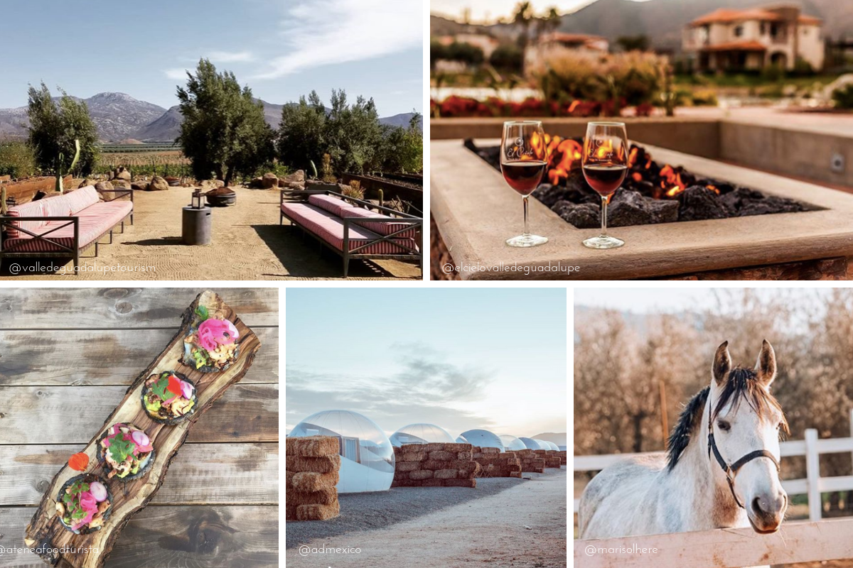Where to Travel in 2019 | The Hungry Chronicles | Valle de Guadalupe