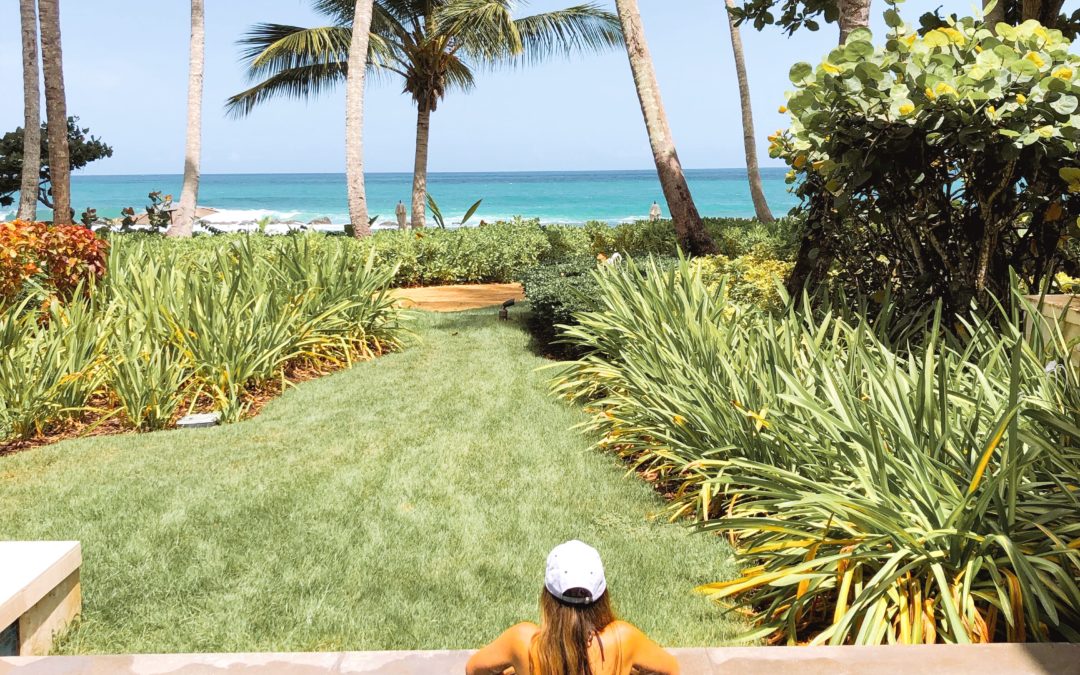 Dorado Beach, A Ritz-Carlton Reserve: The Best Luxury Resort in Puerto Rico